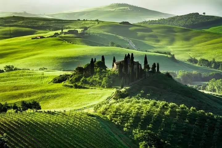 Rolling green hills of Chianti with a historic villa, perfect for an exclusive shore excursion from Livorno to Siena.