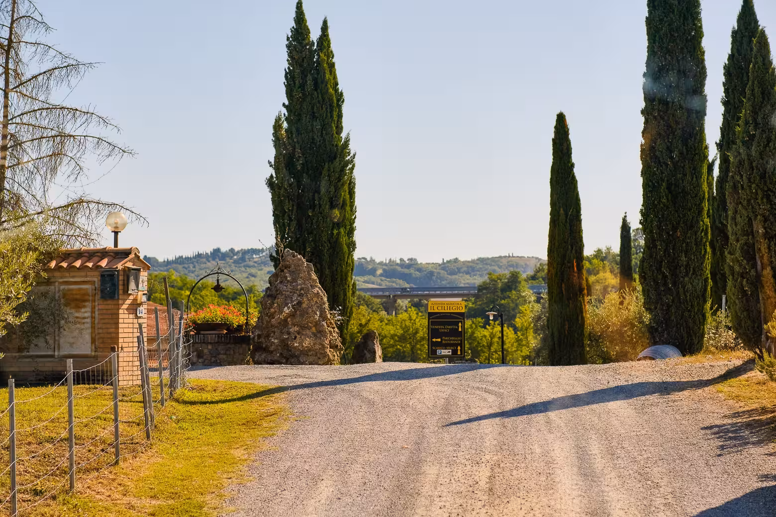 Charming rural road lined with cypress trees leading to a vineyard in Chianti wine region, Tuscany.
