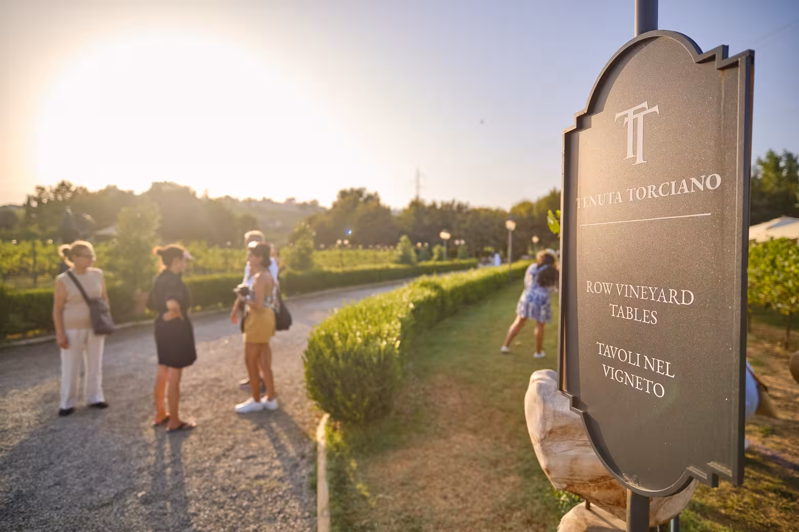 Visitors enjoy a sunny afternoon at Tenuta Torciano vineyard, a highlight of the Siena and Chianti wine tour.