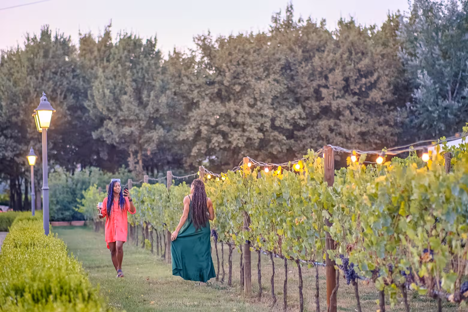 Two women stroll through illuminated Chianti vineyard rows, capturing the essence of a wine tour at dusk.