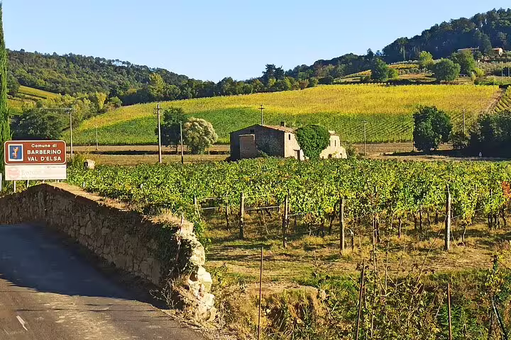 Sunlit Chianti vineyard near Barberino Val d’Elsa with stone farmhouse and rolling Tuscan hills on a private wine tour