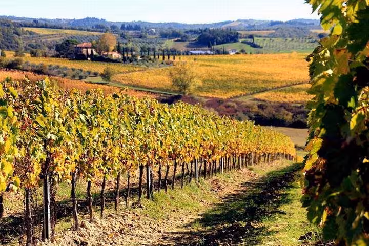 Vigneti del Chianti in Toscana vicino Greve e Castellina, panorama rurale nel tour da Firenze