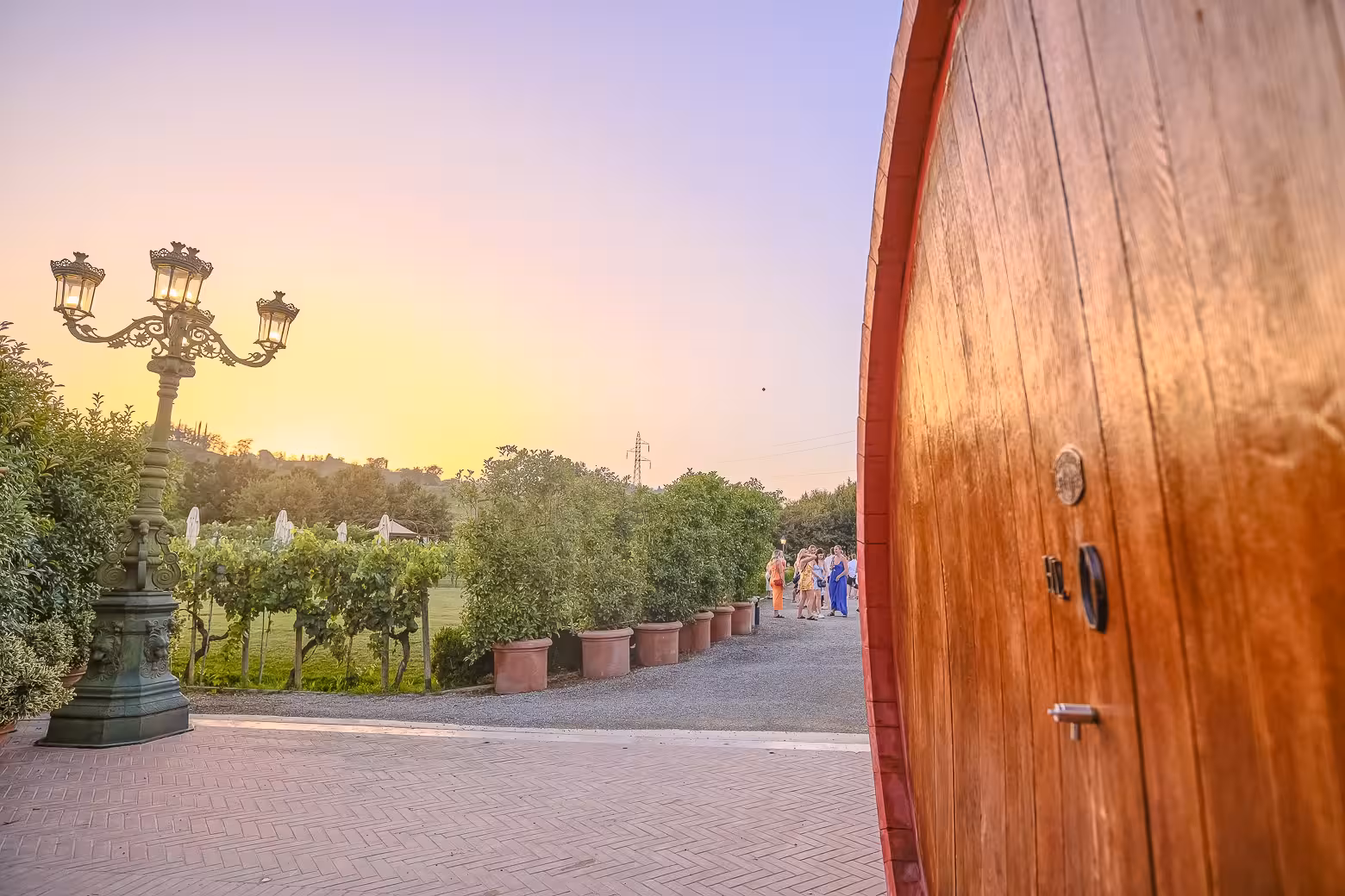 Group of tourists enjoying a sunset view at a vineyard during the Siena and Chianti wine tour from Florence.