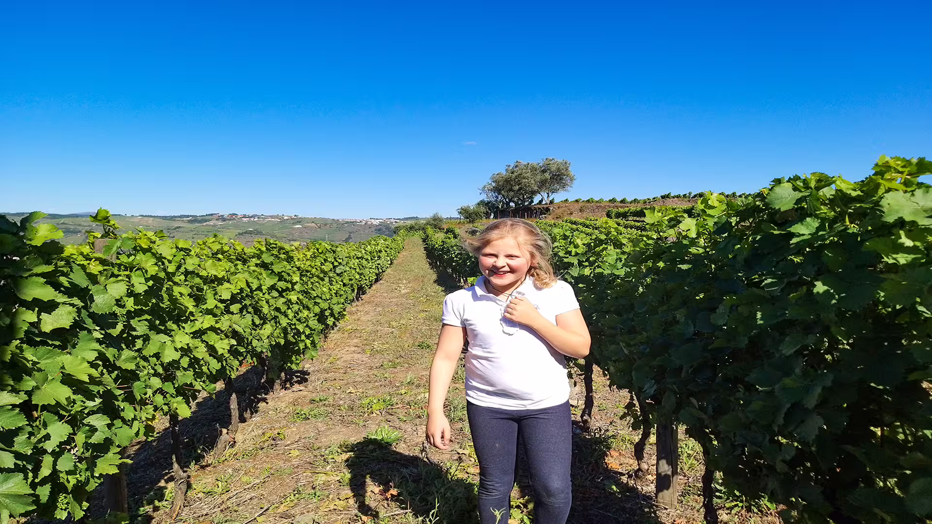 Child enjoying a sunny day in the lush vineyards of Douro Valley during a Foz Côa private tour with scenic views and wines.