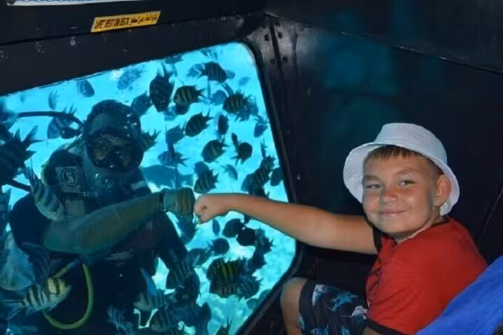 Child fist-bumps a diver through window on Hurghada semi-submarine tour, watching Red Sea reef fish