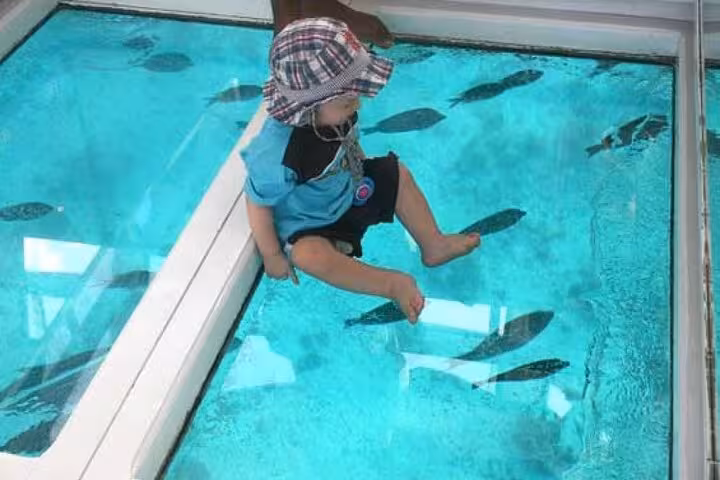 Child watching tropical fish through glass floor on private Hurghada glass bottom boat tour in Red Sea
