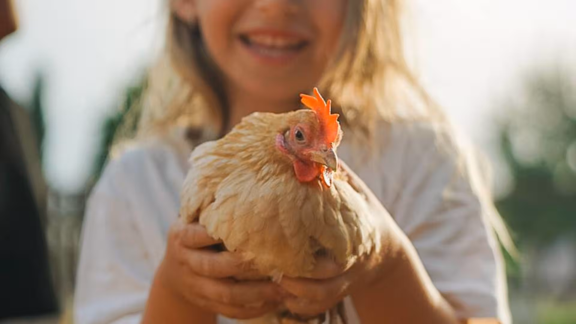 Smiling child gently holding a chicken at Alghero's Olmedo animal shelter visit.