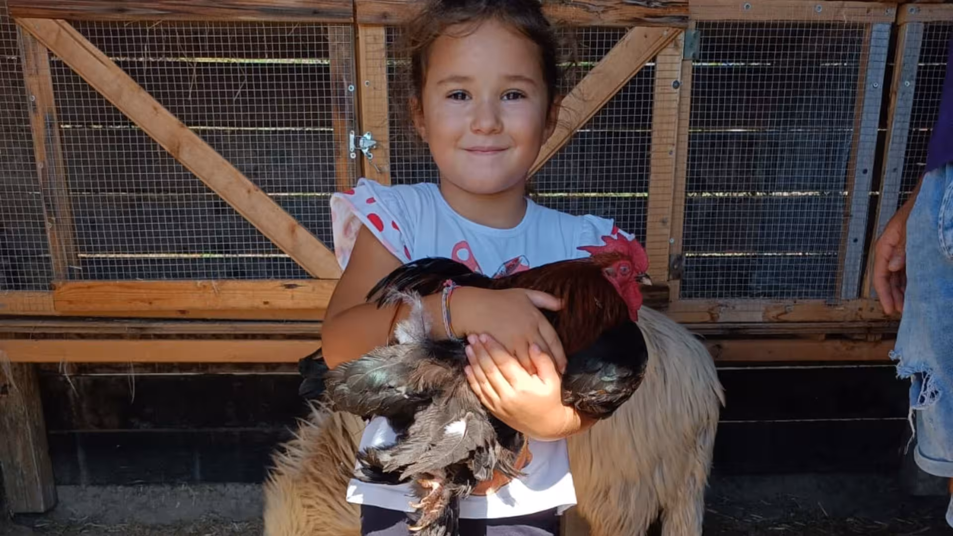 Smiling child holding a rooster at a Cagliari farm visit, offering a hands-on animal experience for families.