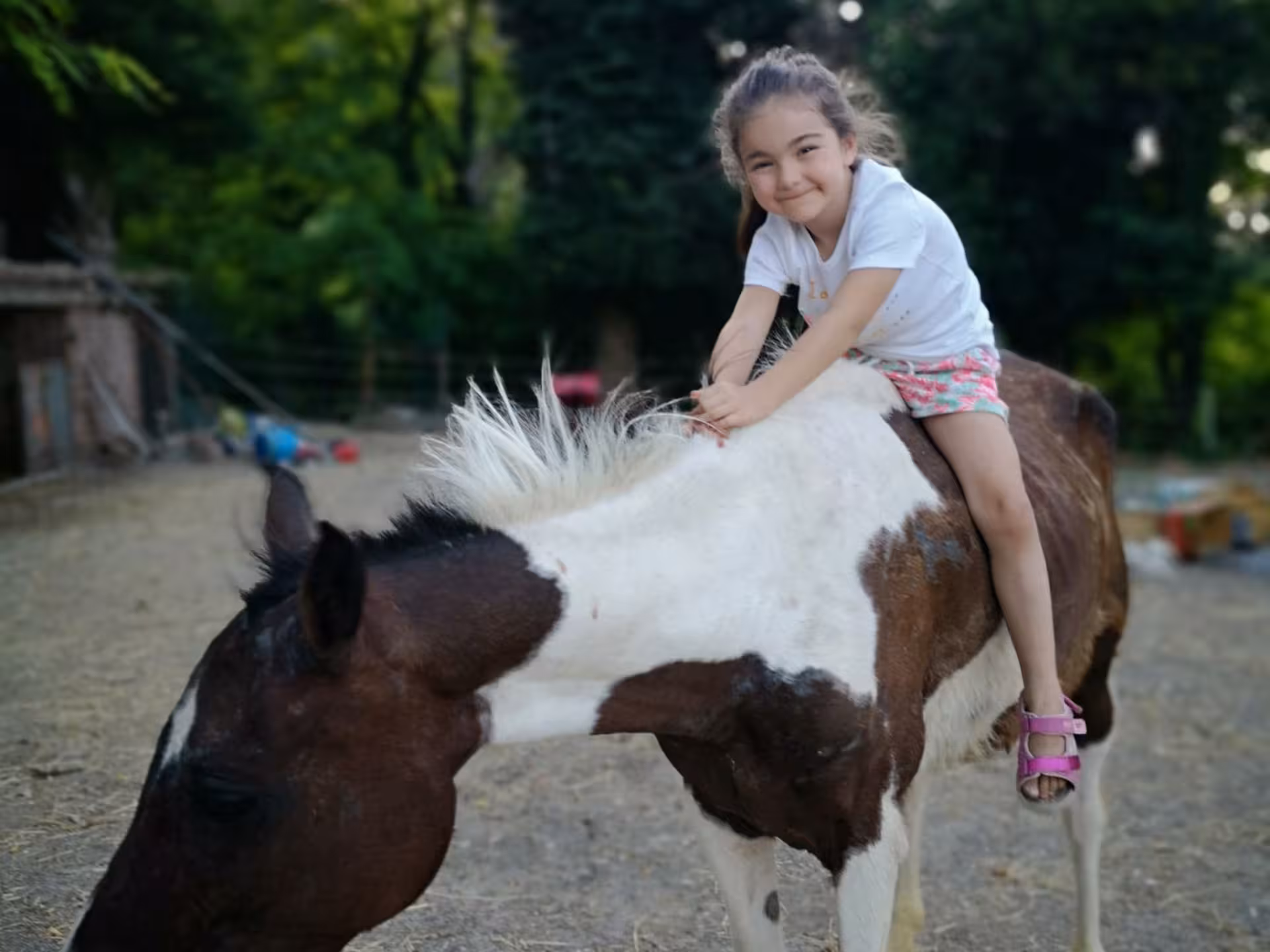 Child joyfully riding a horse at a scenic Pesaro farm, perfect for family-friendly animal adventures and nature tours.