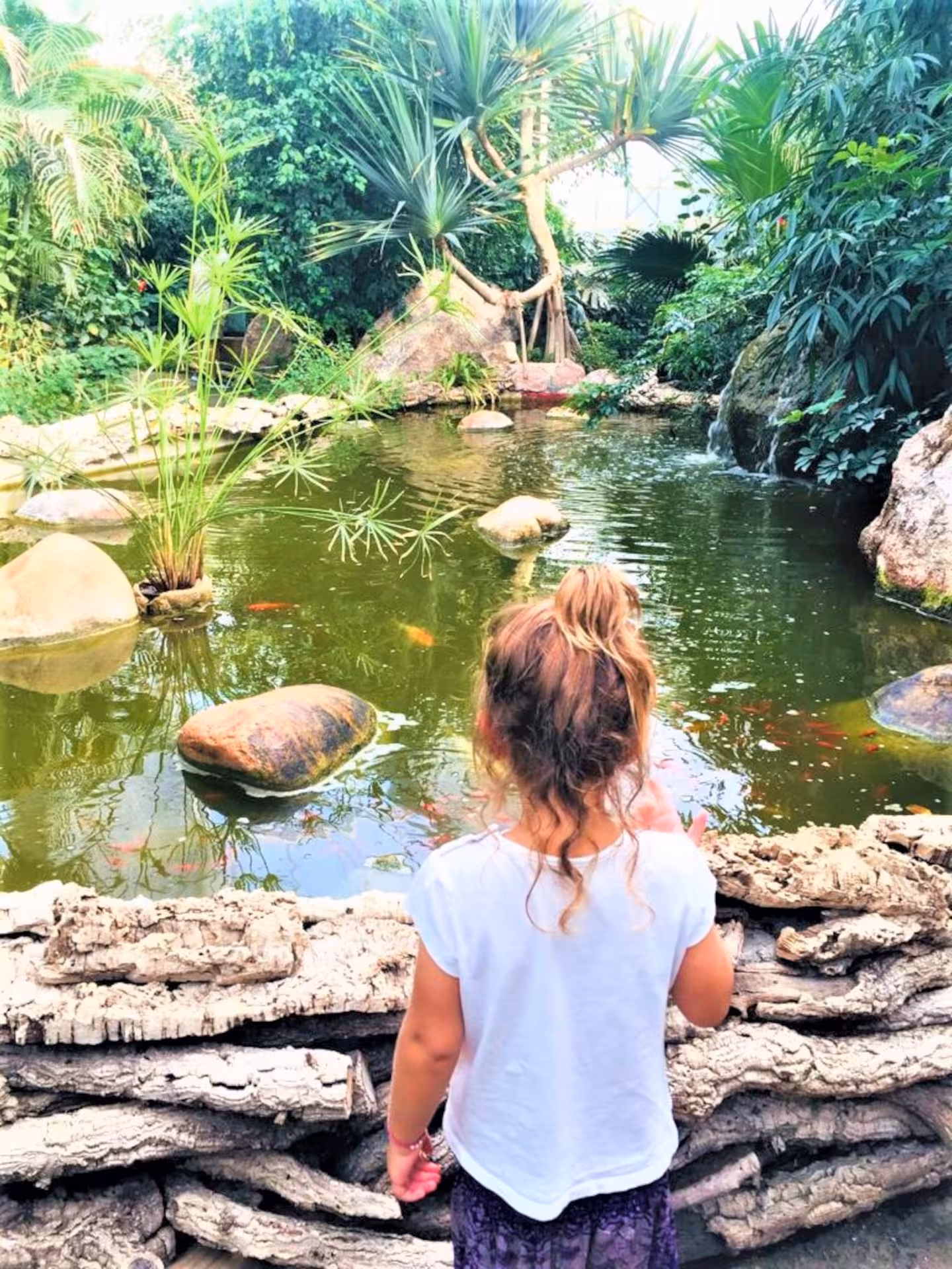 Child observing a serene pond surrounded by lush greenery at Alghero's Butterfly House in Sardinia.