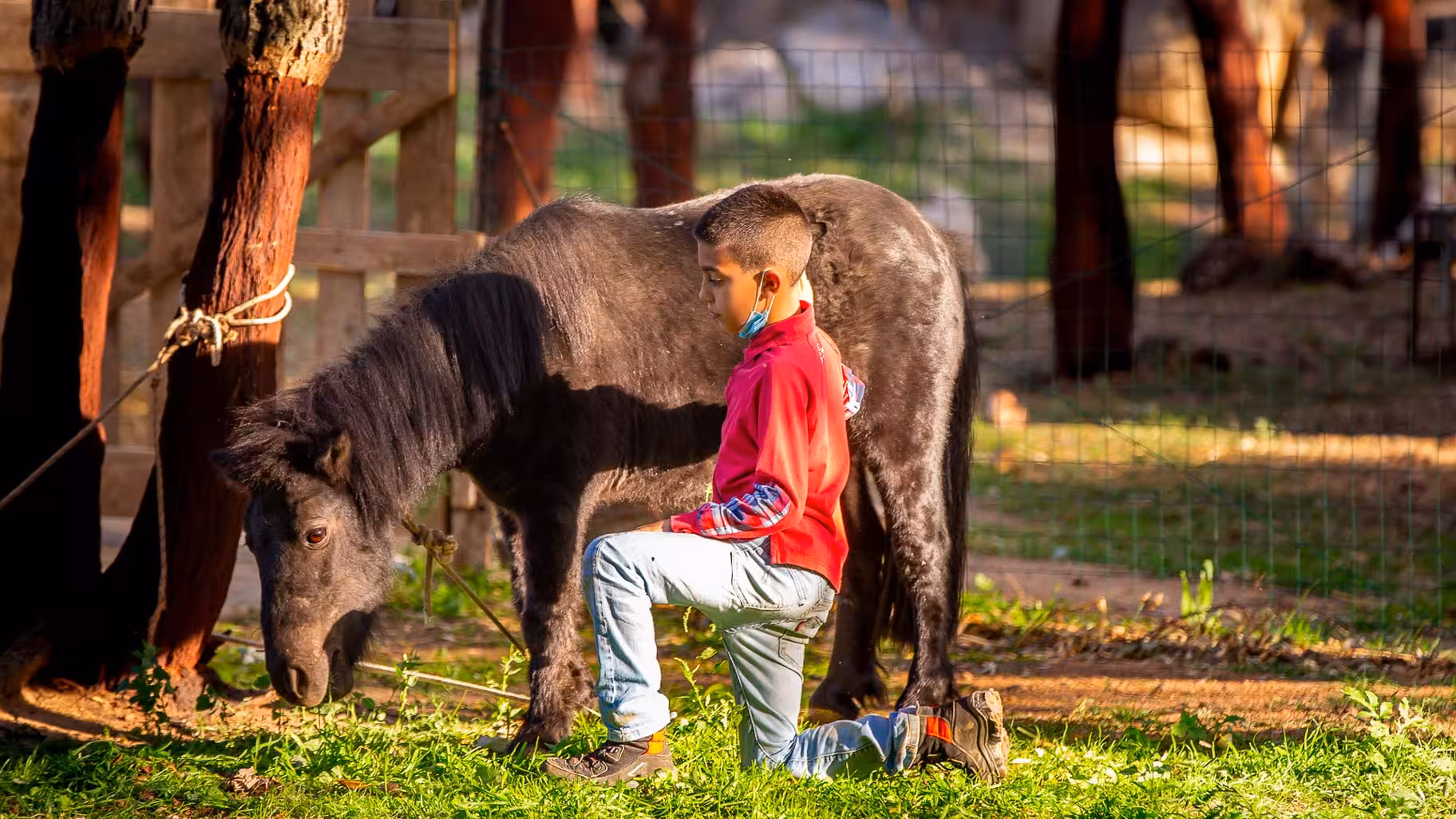 A child kneeling beside a pony in a sunlit farm setting, showcasing interactive experiences at Arzana visit.