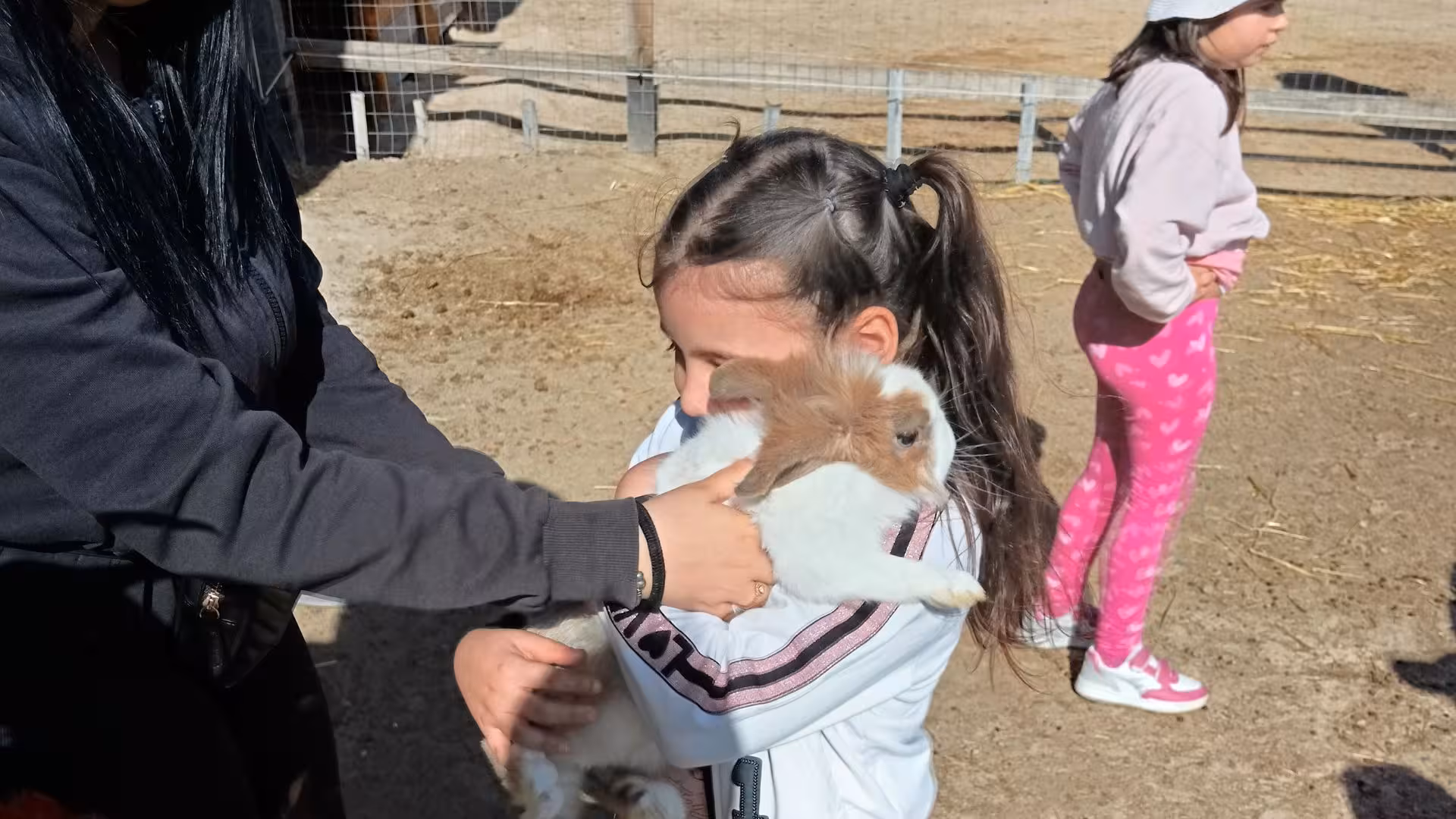 Child cuddling a fluffy rabbit during a Cagliari farm visit, enhancing the family-friendly animal encounter experience.