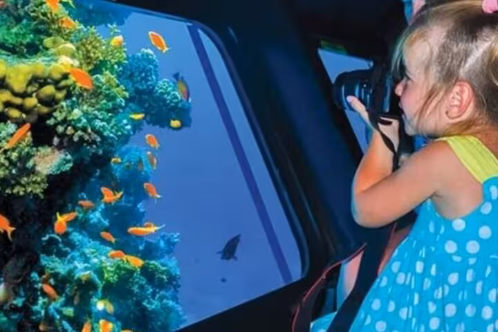 Child photographing colorful Red Sea reef through semi-submarine window on Hurghada 2-hour tour