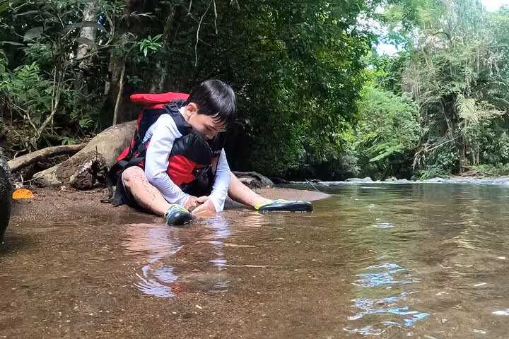 Child exploring the shallow edge of the Celeste River, wearing a life jacket and surrounded by tropical greenery.