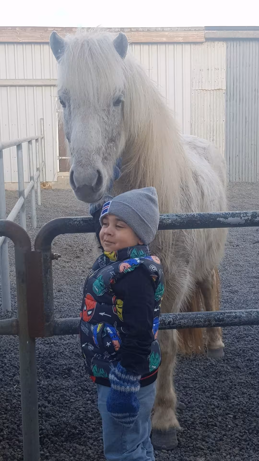 Young child smiling next to a white Icelandic horse at a farm stable