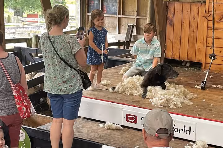 Children with a dog on stage during a sheep shearing demonstration at Sheep World near Auckland.