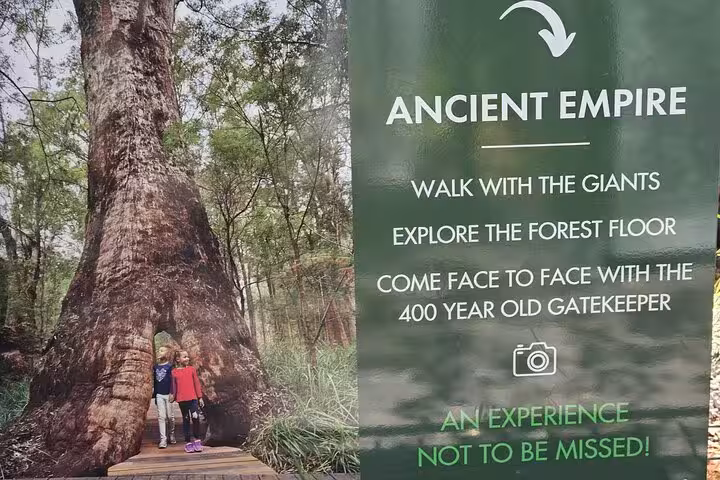 Children standing by a giant tree in the Ancient Empire, promoting the Valley of the Giants tour experience.