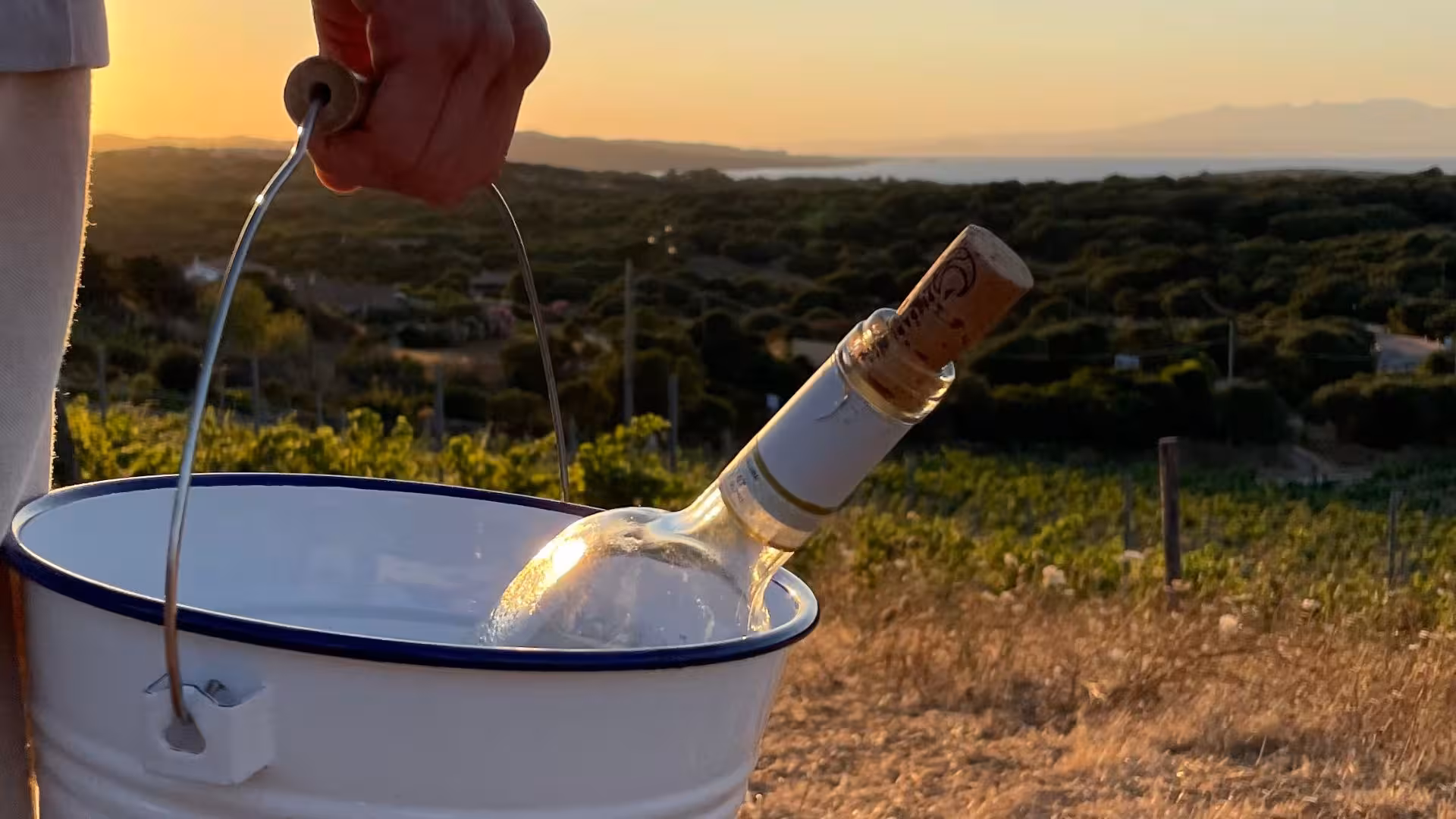 Chilled wine bottle in a bucket against a scenic Gallura estate sunset, perfect for a luxurious picnic experience.