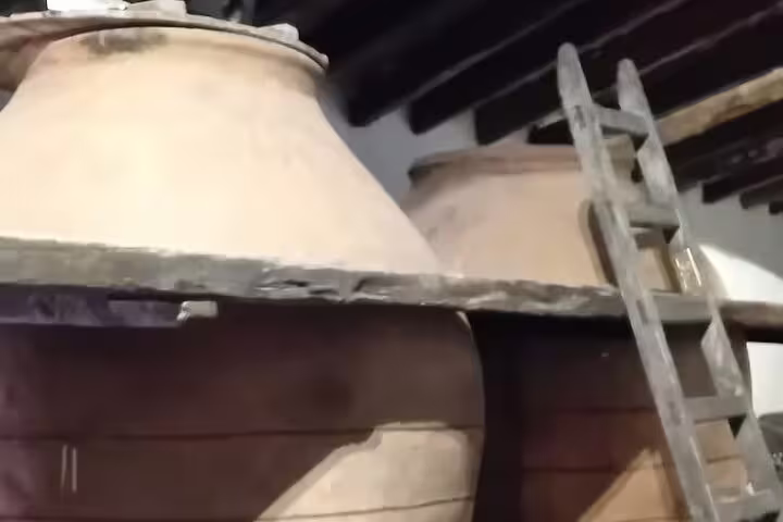 Rustic clay wine vats with a wooden ladder in a traditional Chinchón winery, perfect for an authentic Madrid wine tour.