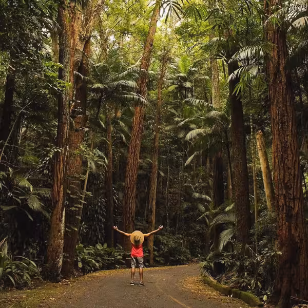Person with arms raised in the vibrant greenery of Tijuca Forest, part of the Christ the Redeemer tour.