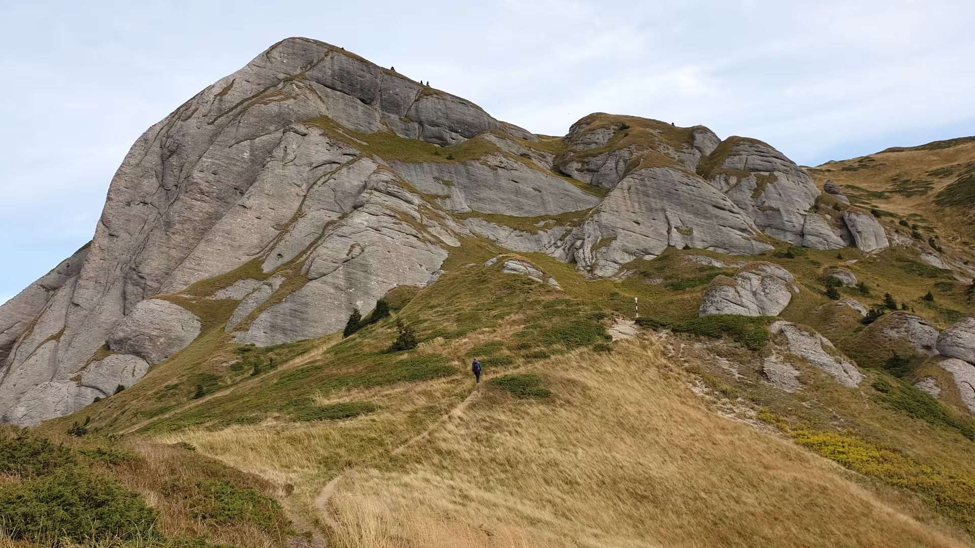 Hiker on trail approaching rocky Ciucas Peak 1954m with limestone formations, Romania