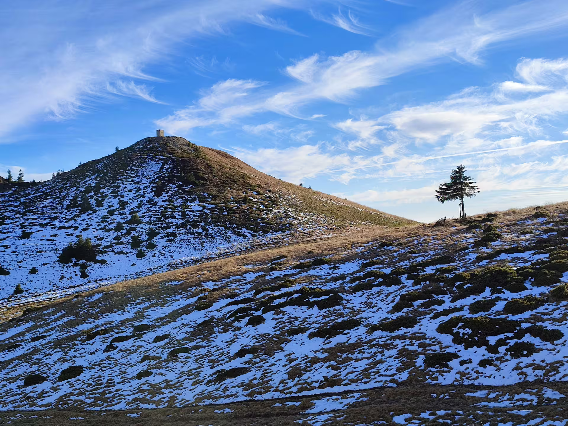 Snow-dusted Ciucas Peak 1954m with stone summit marker and lone evergreen tree, Romania