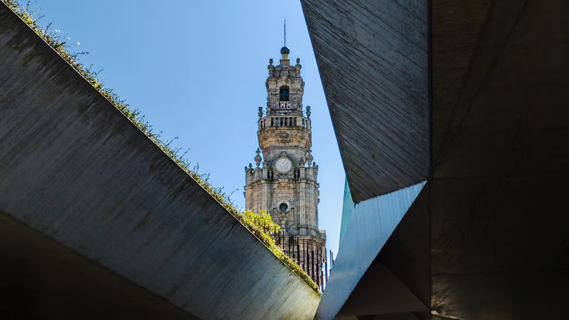 View of Clérigos Tower framed by modern architecture under a clear blue sky on a private Porto city tour.
