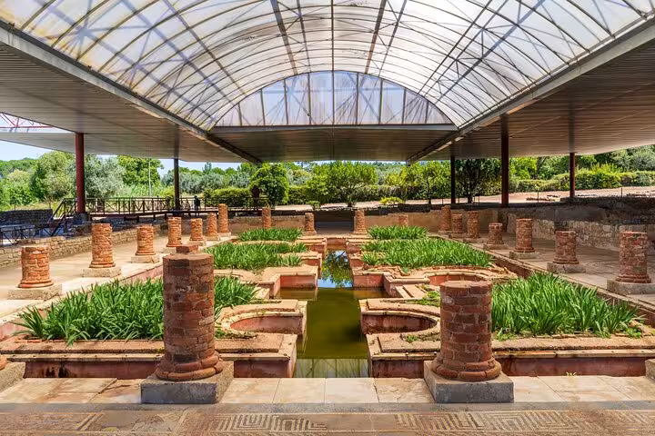 Explore Coimbra's Roman ruins with lush greenery and historical charm on a private 2-hour city walk with a local guide.