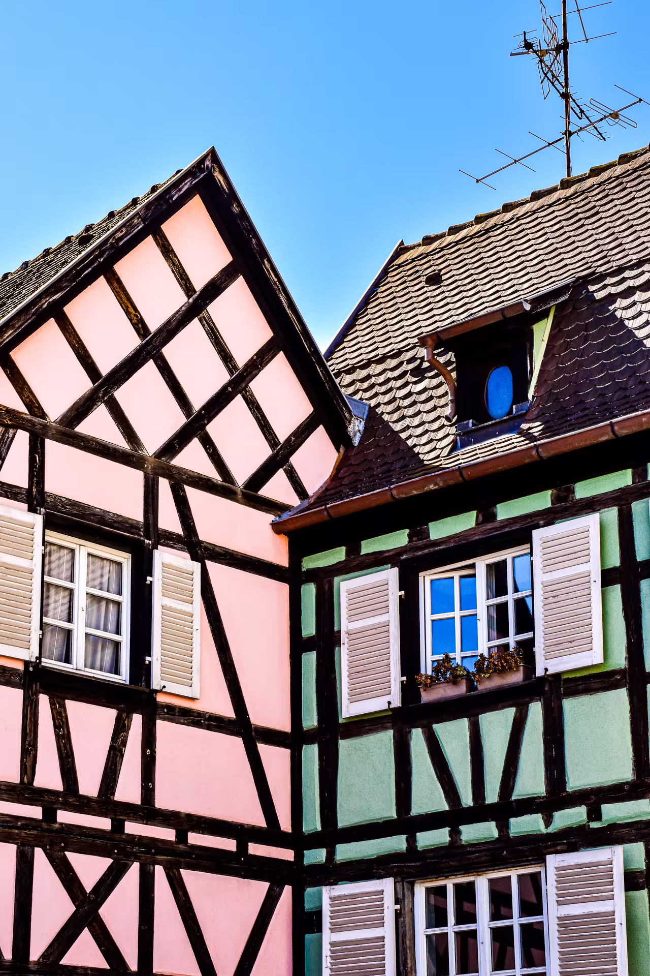 Colorful half-timbered pink and green buildings in Colmar, Alsace, France under blue sky