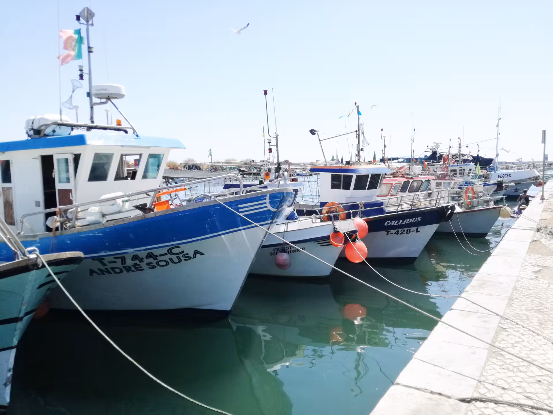 Colorful fishing boats moored in Olhão harbor, Algarve, ready for Atlantic trips on a clear sunny Leeward Islands tour morning