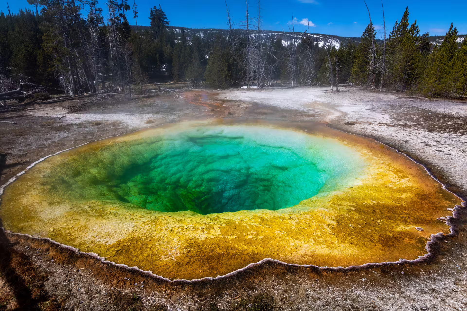 Vibrant turquoise hot spring with colorful yellow and orange mineral rings surrounded by forest