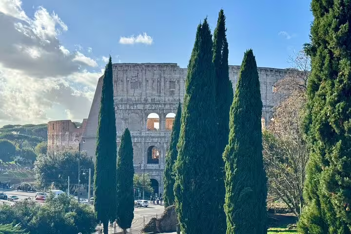 View of the Colosseum framed by tall cypress trees on a sunny day during a Colosseum, Palatine Hill and Roman Forum guided tour