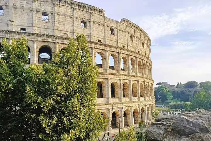 Side view of the ancient Colosseum with green trees and ruins seen on an official Colosseum, Palatine Hill and Roman Forum tour