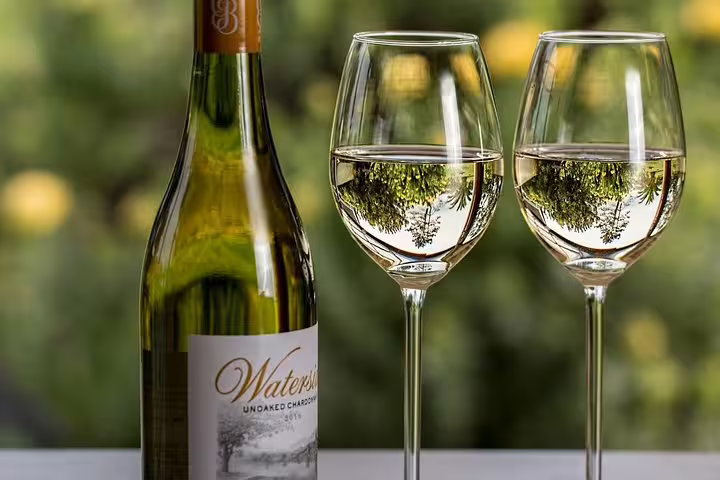 Two glasses and a wine bottle showcasing Constantia wine tasting against a lush green vineyard backdrop.