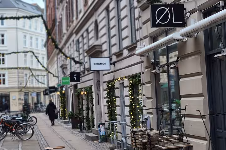 Charming Copenhagen street adorned with festive lights, perfect for discovering Danish culture on a walking tour.