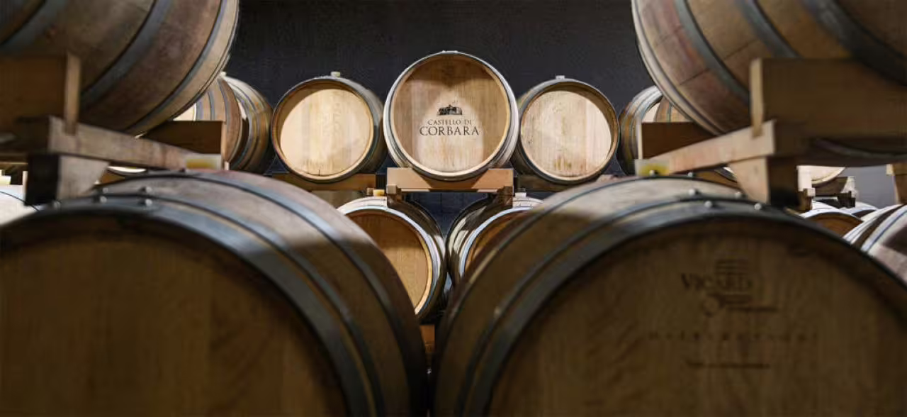 Rows of oak wine barrels aging premium wines at Castello di Corbara in Umbria, showcasing traditional winemaking.