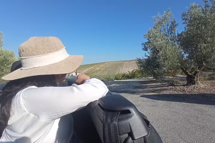 Traveler in a convertible car admiring panoramic views of olive trees and vineyards in Cordoba countryside.