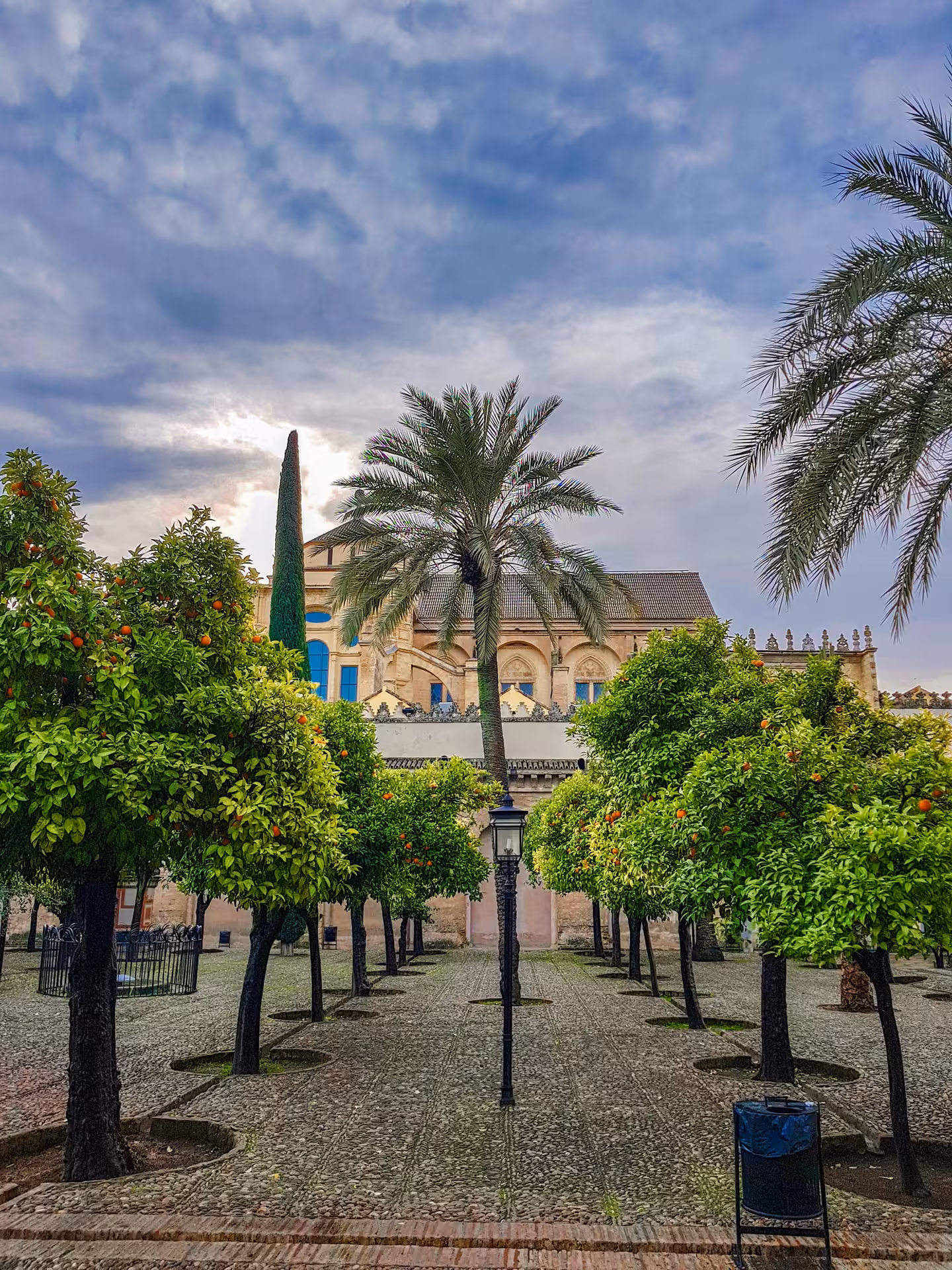 Scenic courtyard with orange trees and palm in the Jewish Quarter, offering a serene view of Cordoba's heritage.
