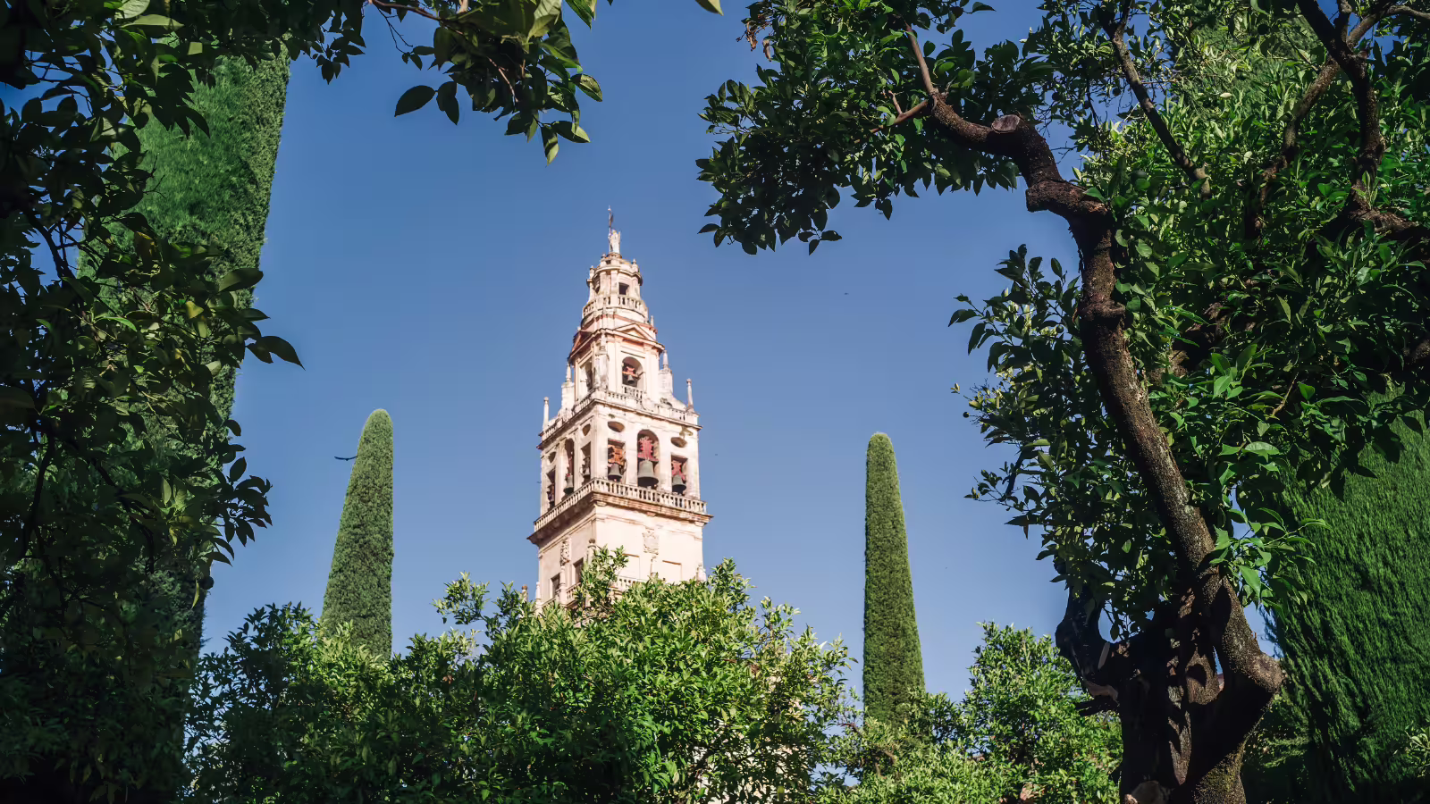 Cordoba Mezquita-Cathedral bell tower framed by orange trees, scenic stop on a small group walking tour