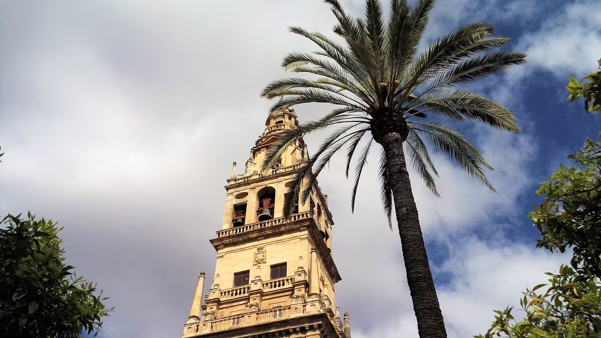 Bell tower and palm tree at Cordoba Mosque-Cathedral on group tour from Costa del Sol with pickup
