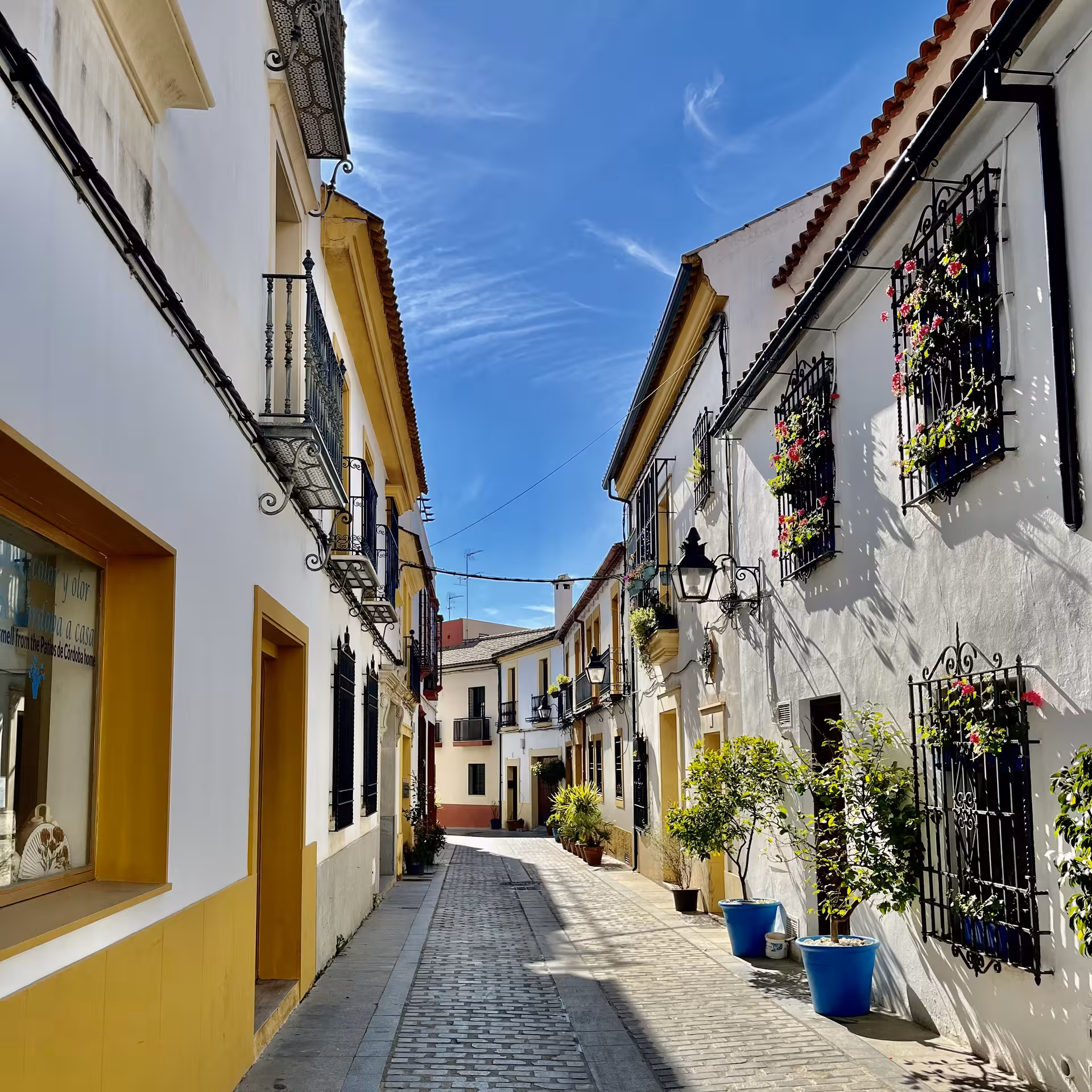 Charming Córdoba old town lane on Misterios Locales tour, whitewashed houses, balconies and flowers