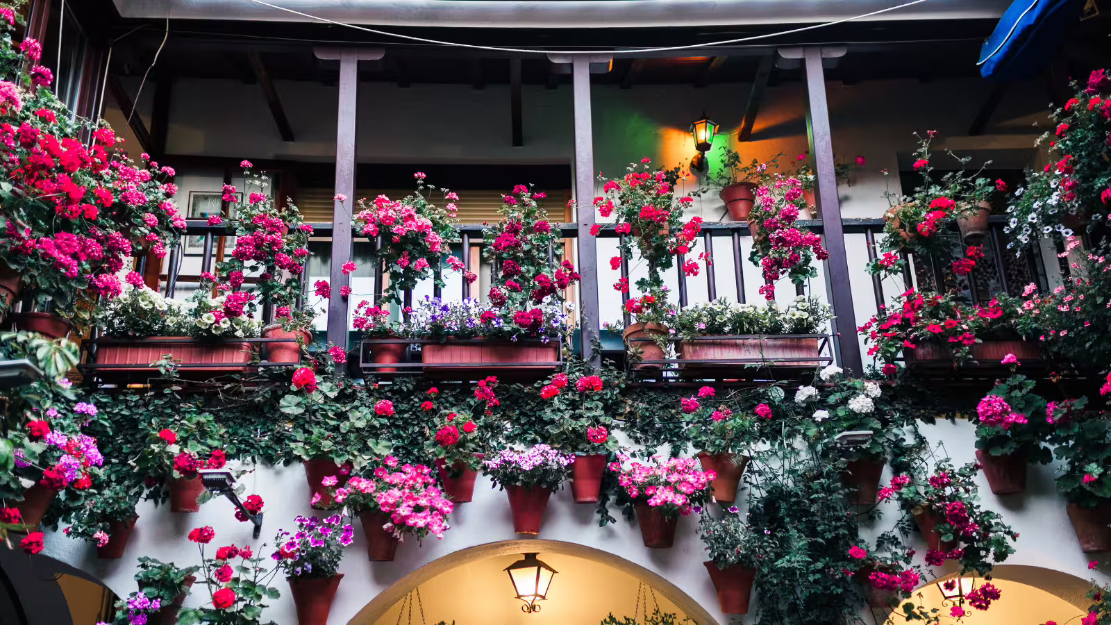 Traditional Córdoba patio balcony with colorful flower pots, a must-see stop on a Cordoba group walking tour