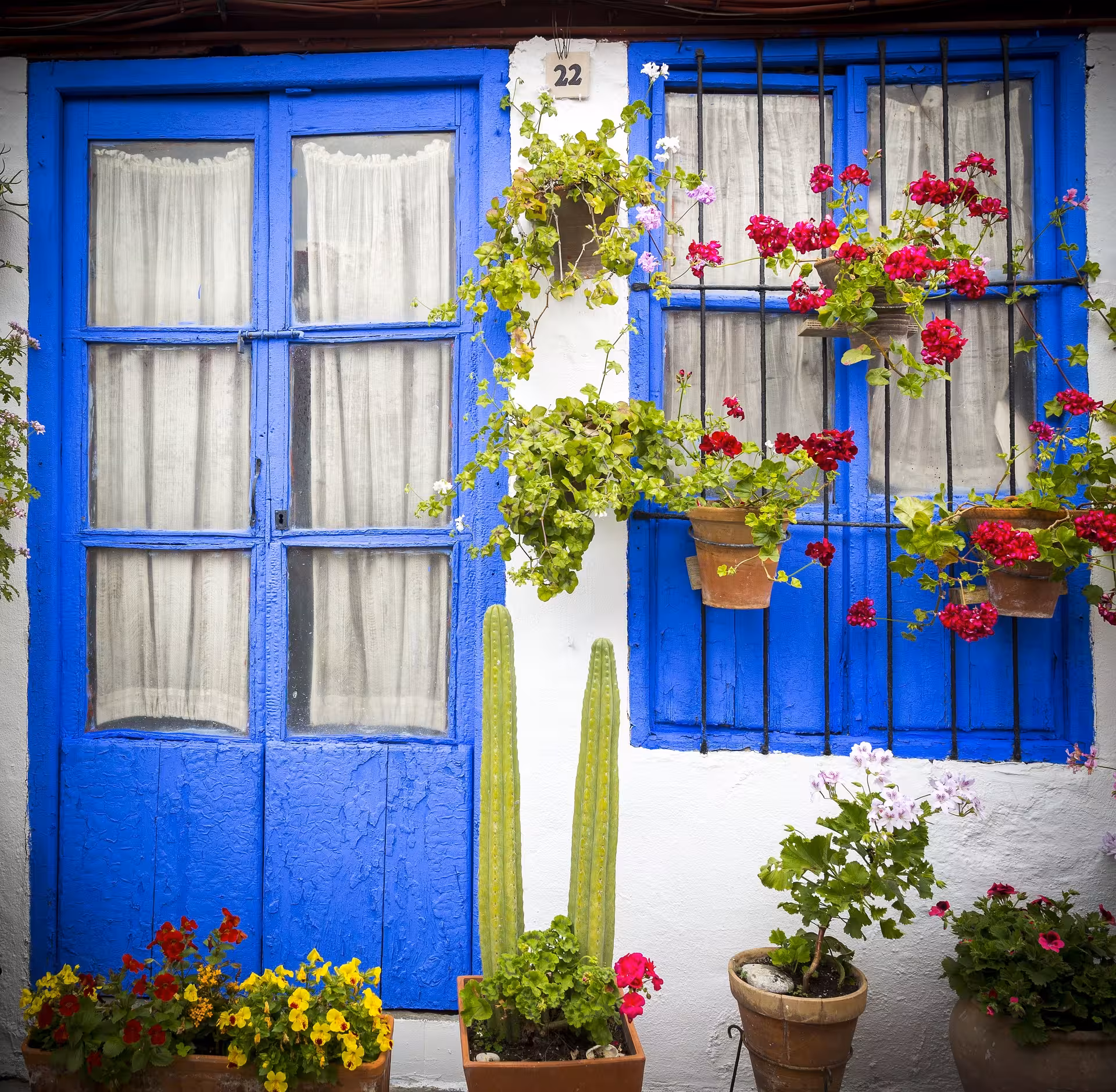 Rustic blue doors surrounded by colorful flowers and cacti in a traditional Córdoba patio setting.