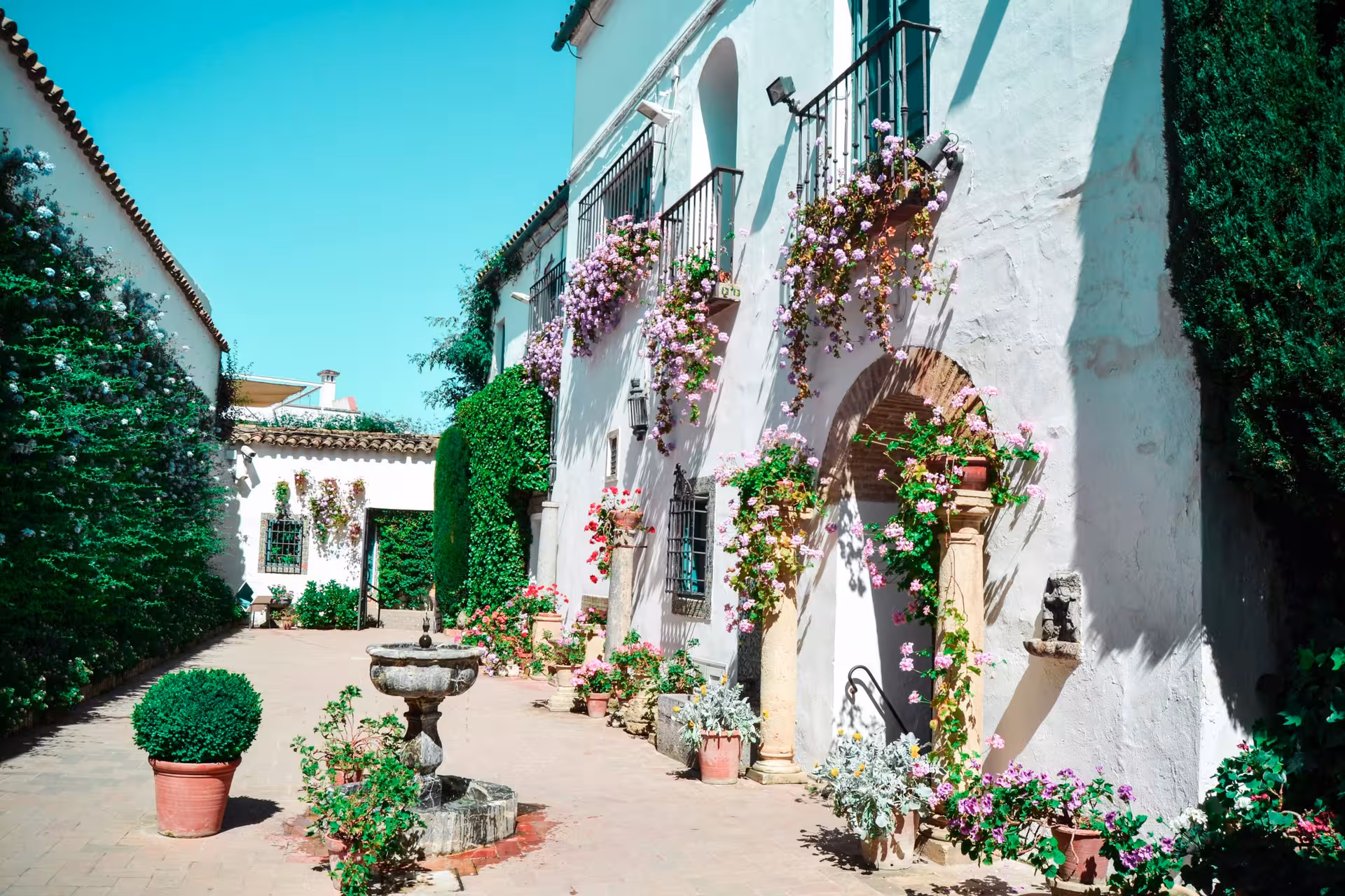 Charming Córdoba patio adorned with vibrant flowers and a classic stone fountain, offering a picturesque tour experience.