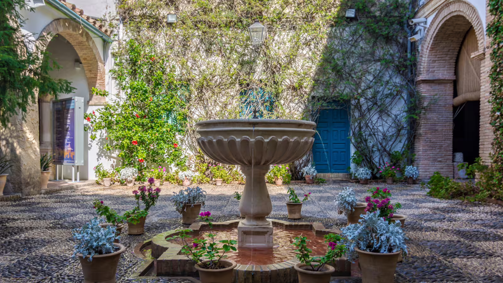 Flower-filled Córdoba patio with central fountain, charming highlight on a private walking tour in Andalusia