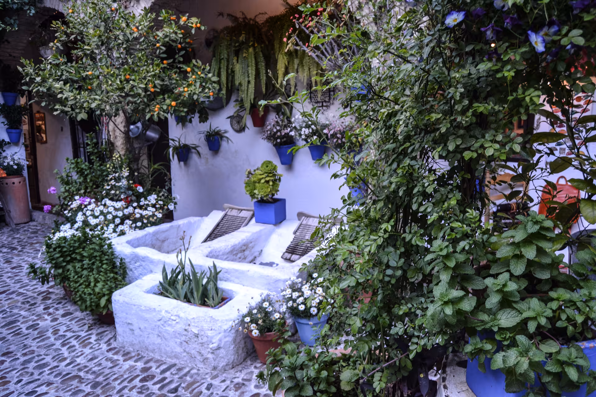 Charming Córdoba patio adorned with lush greenery and colorful potted plants, ideal for a cultural garden tour.