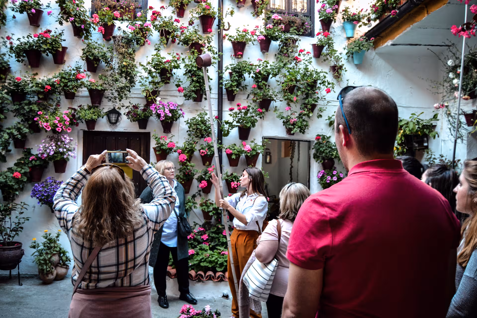 Tour group admires cascading flowers on a patio wall during Córdoba's famous patios tour.