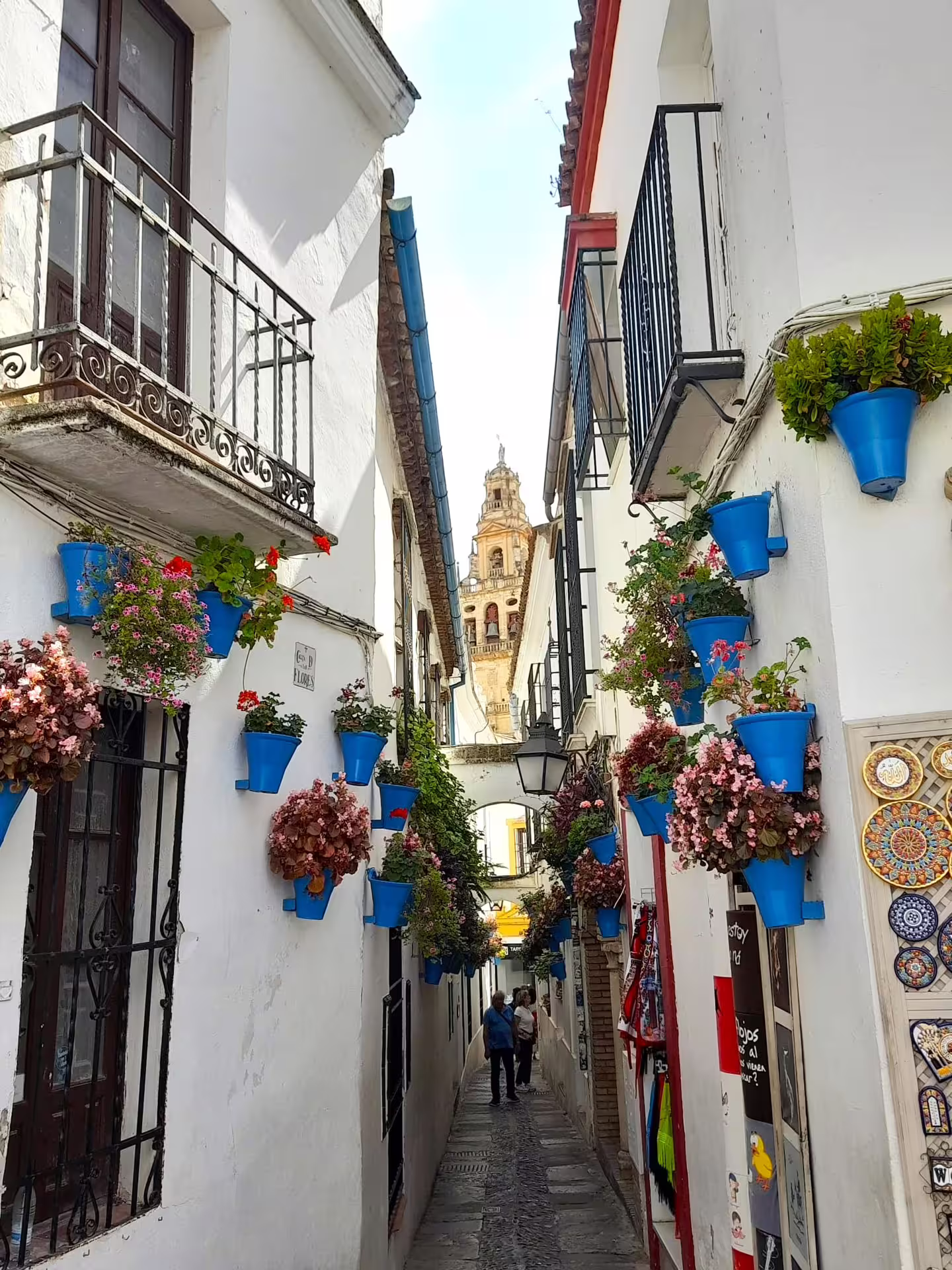 Flower-filled Cordoba alley with blue pots and Mezquita-Cathedral tower, private trip from Costa del Sol