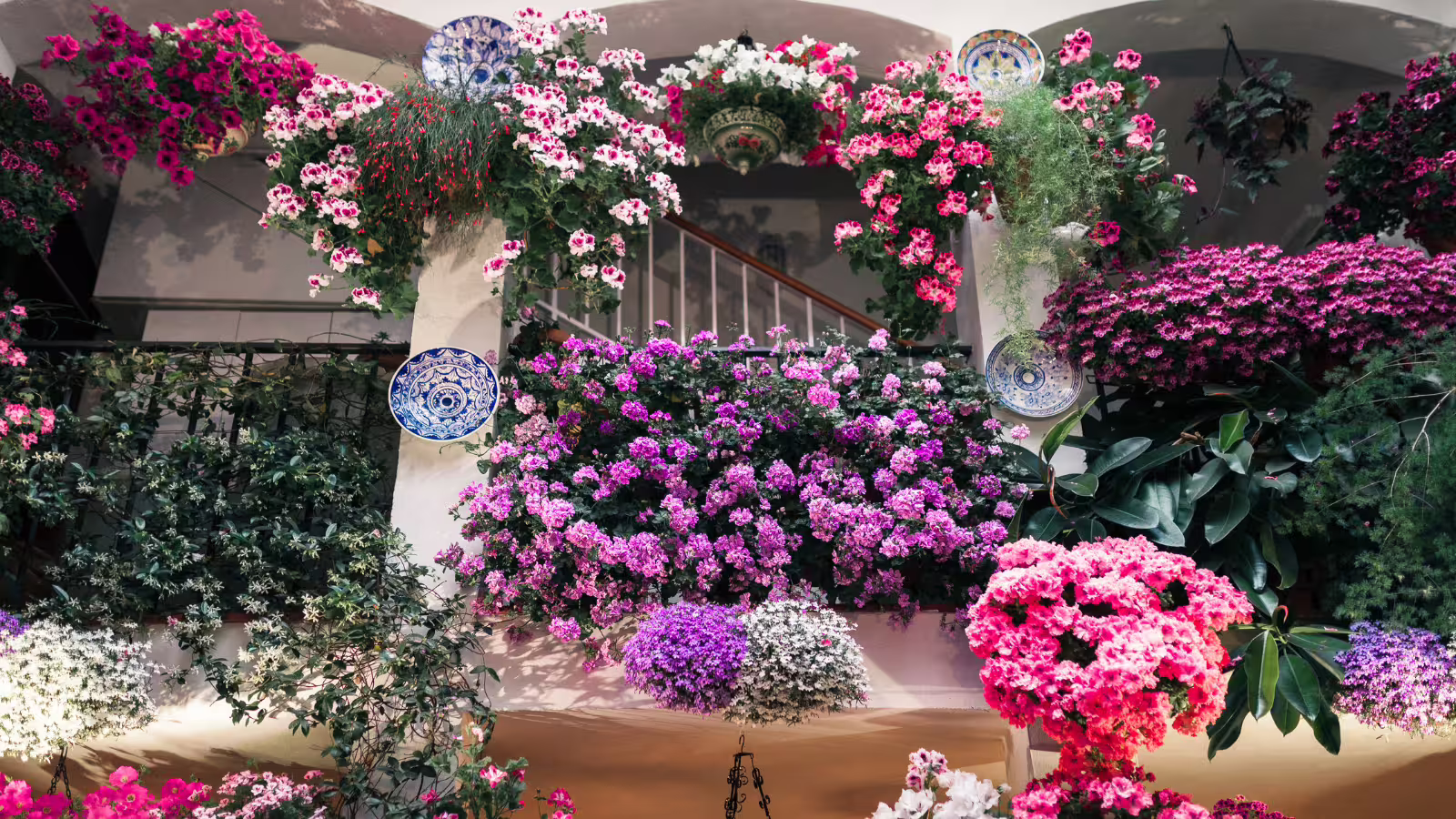 Colorful Córdoba patios with hanging geraniums and Andalusian tiles, a highlight of a private walking tour