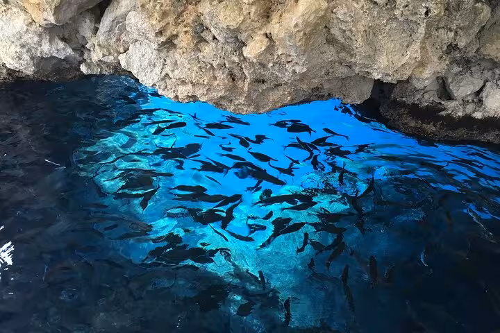 Crystal-clear blue cave water with fish, a scenic swim stop on the Corfu Beauty & the Beach private tour